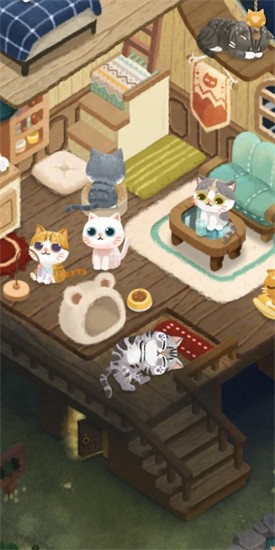 猫咪的秘密森林免费版(3)