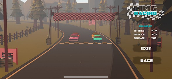 竞速赛车游戏纯净最新版图3