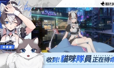 猫之城最新版图1