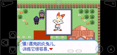 口袋妖怪剑盾（中文）手机版图4