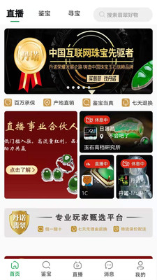 丹诺翡翠图1