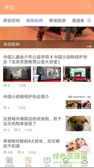 迷宠圈