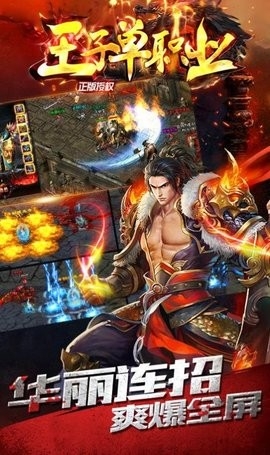 王子单职业游戏纯净最新版图2