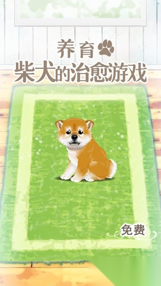 养育柴犬的治愈游戏中文版图5