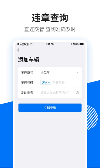 123查违章查询原版图2