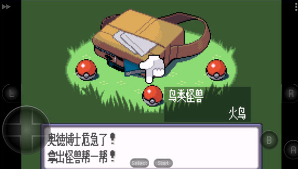 口袋妖怪蓝宝石直装游戏版图2
