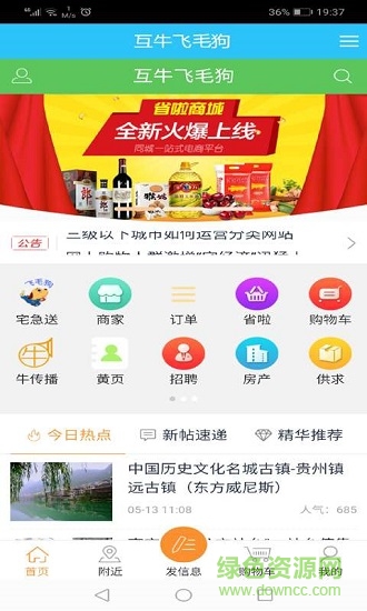 互牛飞毛狗