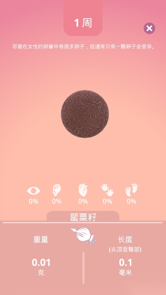 生娃模拟器
