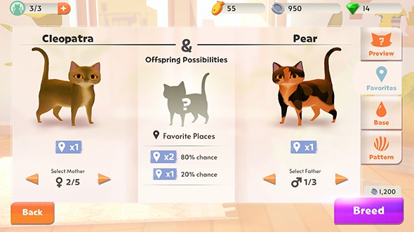我的猫咪俱乐部安卓版图1