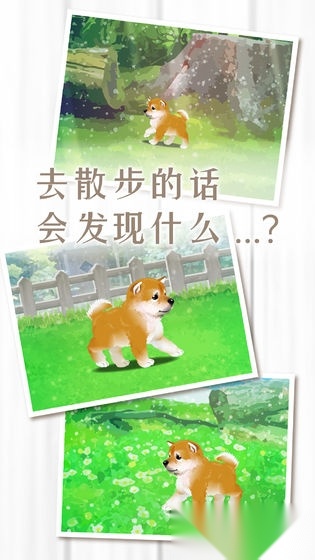 养育柴犬的治愈游戏中文版图1