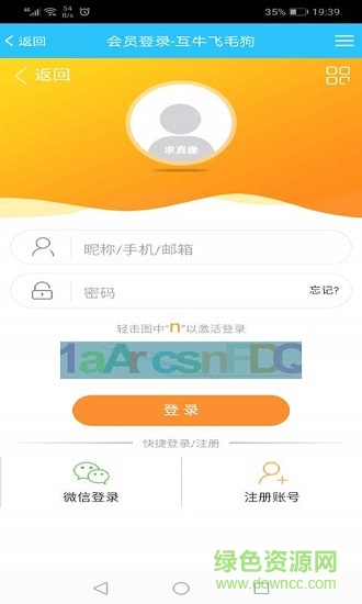 互牛飞毛狗