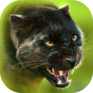 猎豹模拟器手机版 V1.0