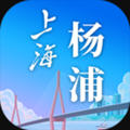 上海杨浦手机正版