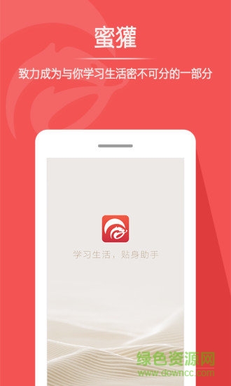 蜜獾