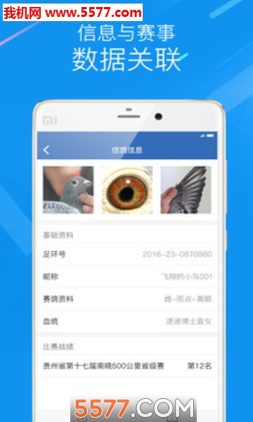 中国信鸽协会无广告版图1