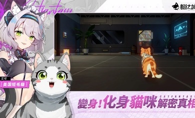 猫之城最新版图3