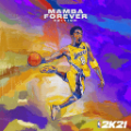 MyNBA2K22通用版