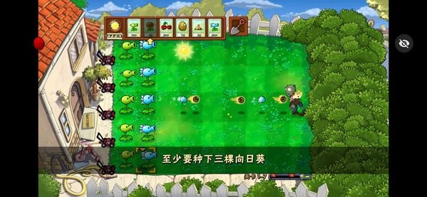 活死人之园废稿版