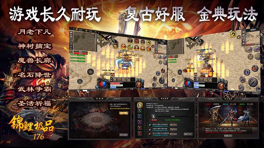 锦鲤极品176图3