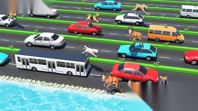 公路上的动物安卓版