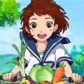 新小森生活安卓官方版