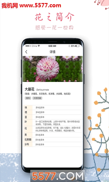 超级袋鼠爸爸