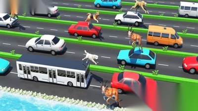 公路上的动物安卓版