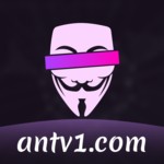 ant最新版