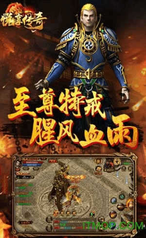 悦享传奇世界游戏纯净最新版图2