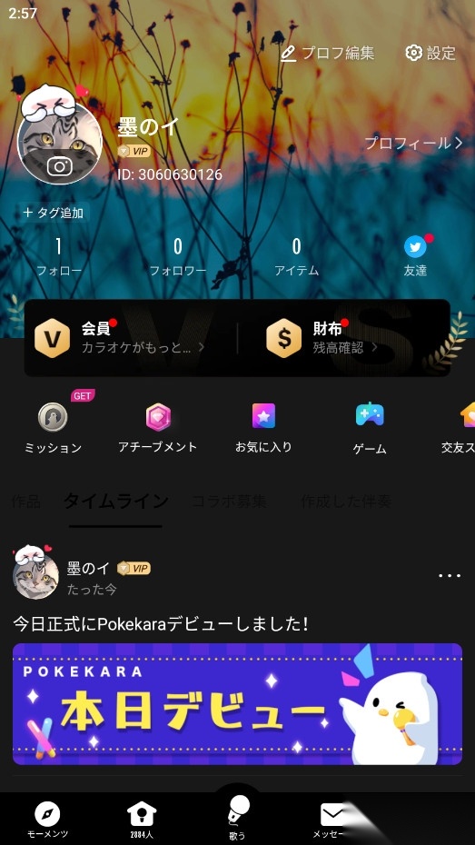 Pokekara最新版图4