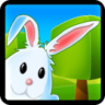 兔子迷宫大冒险(BunnyMaze3D)安卓免费版 V1.44
