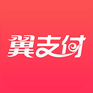 翼支付企业版
