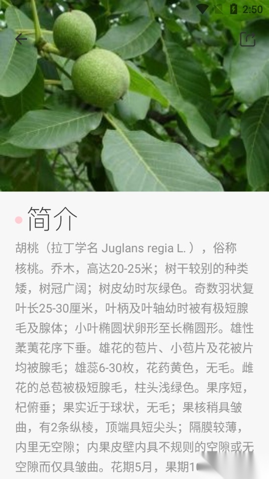 拍照识图助手