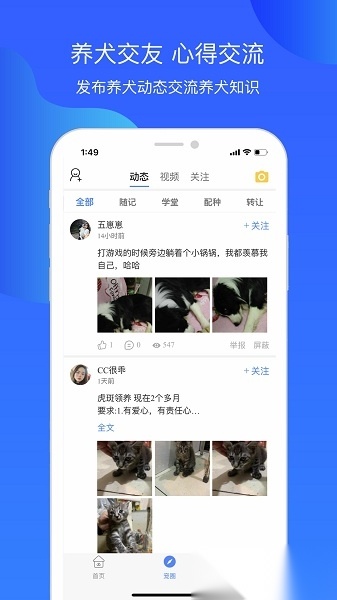 犬卫士免费原版图1