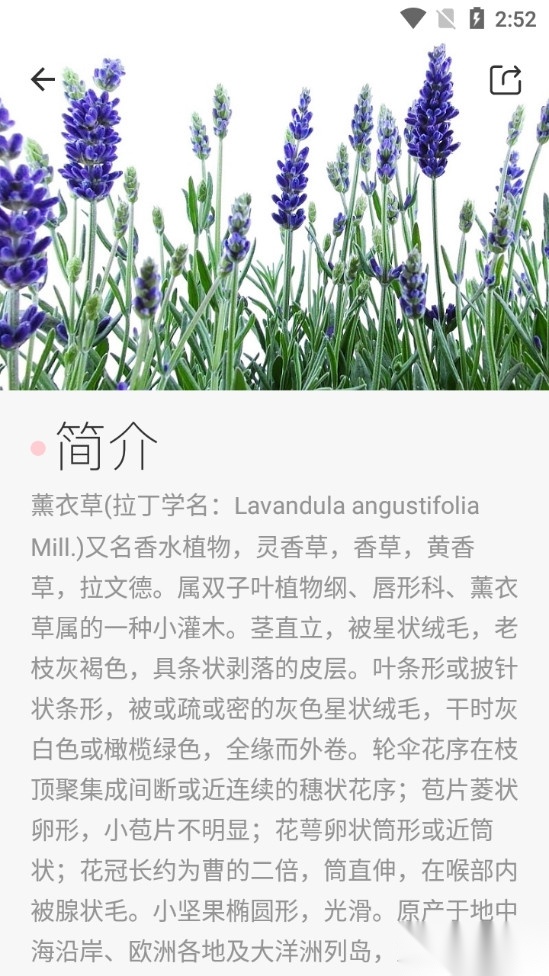 拍照识图助手