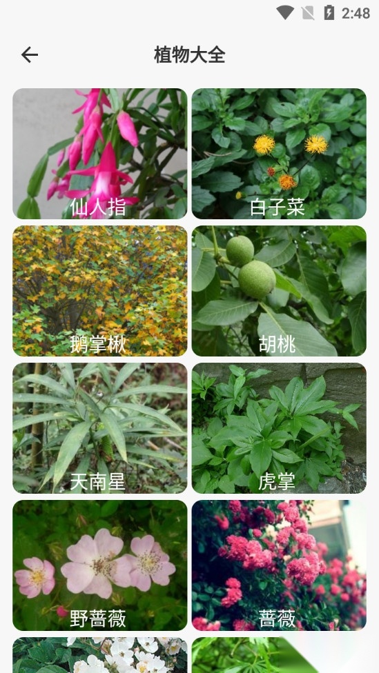 拍照识图助手