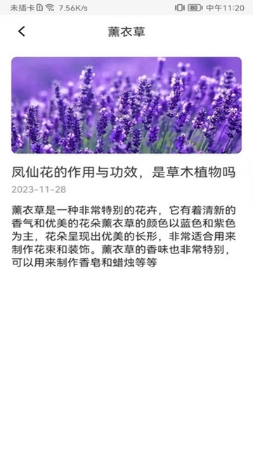 花卉识别图鉴图3