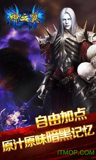神之翼官方正版图2