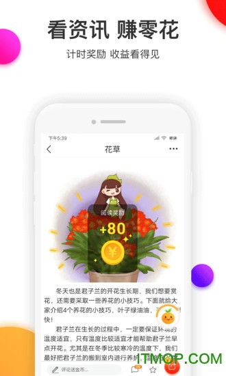 橙子头条