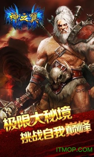 神之翼官方正版图3