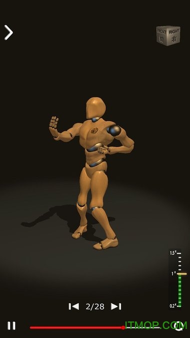 咏春拳师(WingChunTrainer)游戏纯净最新版1
