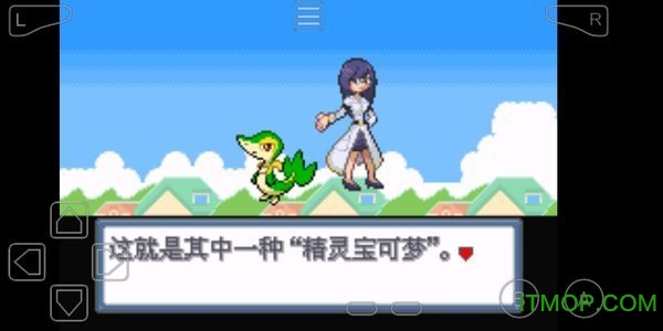 口袋妖怪白金光2汉化版图3: