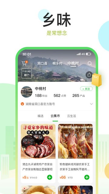 村知了官方最新版图1