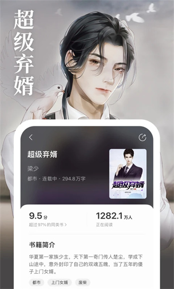 琅阅小说直装版图2