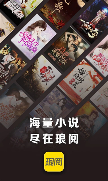 琅阅小说直装版图3