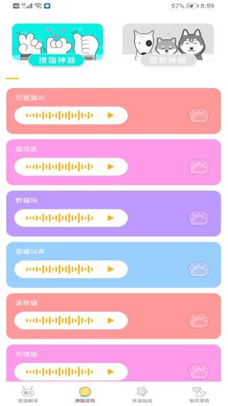 宠物翻译专家