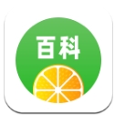 智慧百科