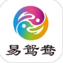 易鸳鸯