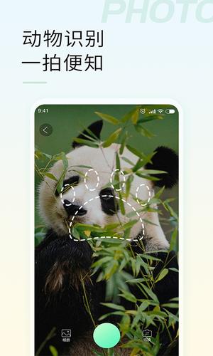 智能拍照识物正版图2