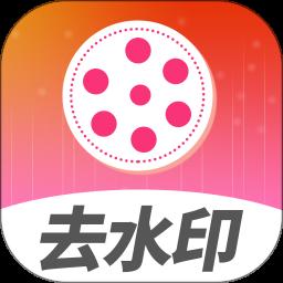 去水印视频解析直装版
